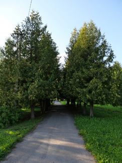 P1657147