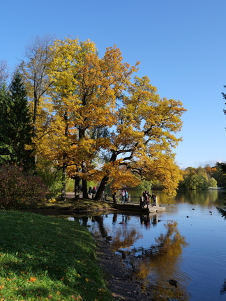 P1657563