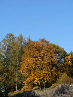 P1657626