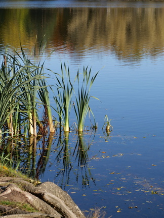 P1657719