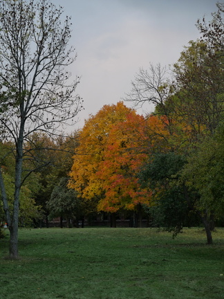 P1657723