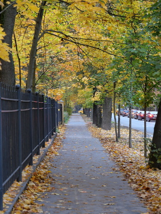 P1657729