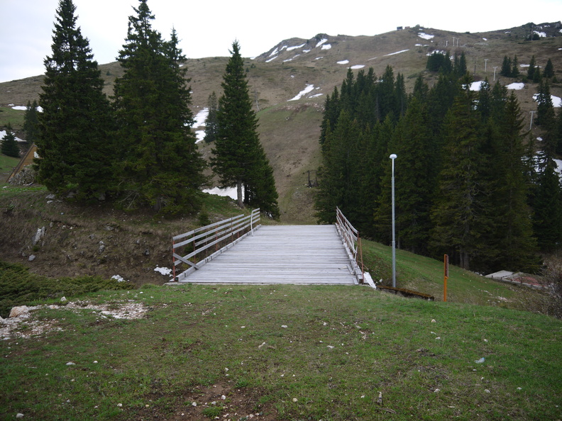 P1030598