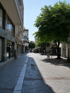 P1600848